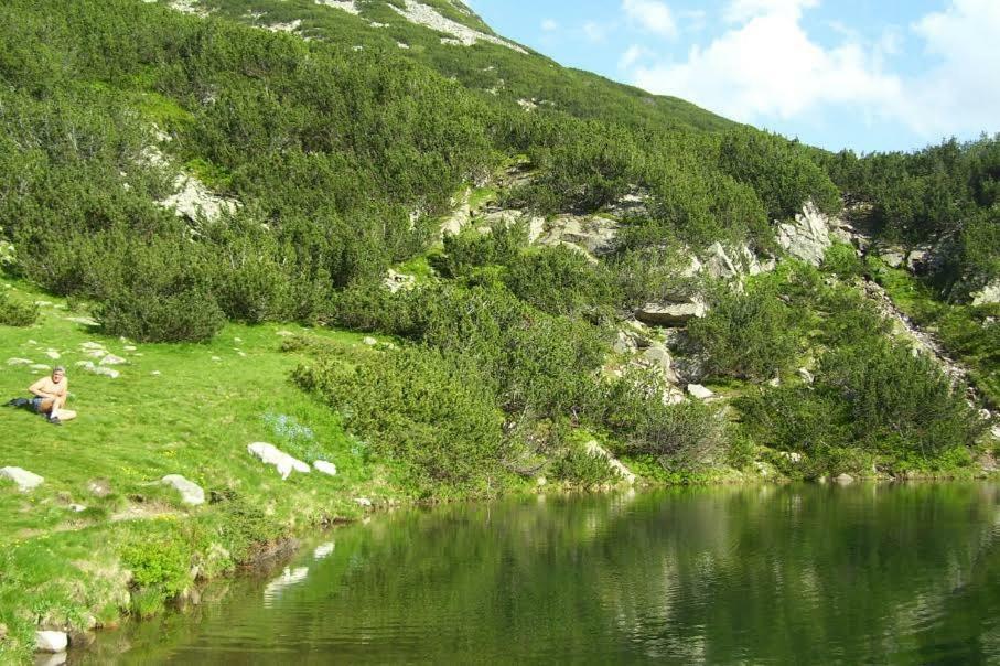 Apartments Four Leaf Clover Bansko To Rent エクステリア 写真